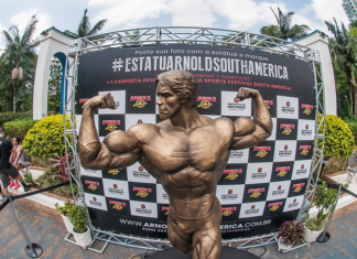 Foto com estátua de Schwarzenegger pode render prêmios, veja