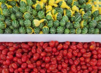 Dieta fitness: quais são as receitas que embalam os cardápios dos atletas?