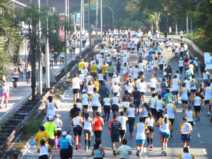 Corrida do trigo em 2019