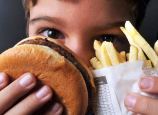 Excesso de gordura e saúde não combinam gordura e ultra processados são péssimos componentes para uma vida saudável